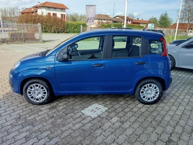 FIAT Panda 3ª serie Panda 1.0 FireFly S&S Hybrid Pop - Foto 6