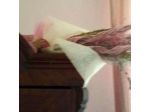 Bed And Breakfast al Cucherle