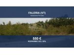 Immobile in asta di 5870 m² in vendita a Faleria