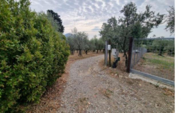 Immobile in asta di 19 m² in vendita a Montemurlo - Foto 5