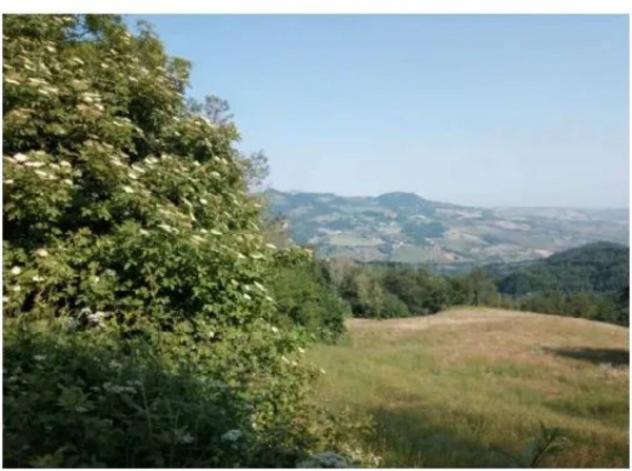 Immobile in asta di 91609 m² in vendita a Pianello Val Tidone - Foto 12