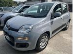 FIAT Panda 1.0 FireFly S&S Hybrid  70cv rif. 23984112