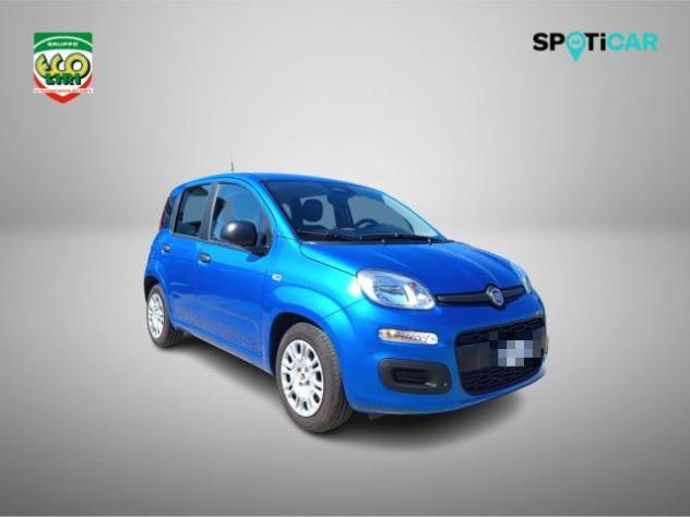 FIAT Panda 1.0 FireFly S&S Hybrid+GPL rif. 24175669 - Foto 3