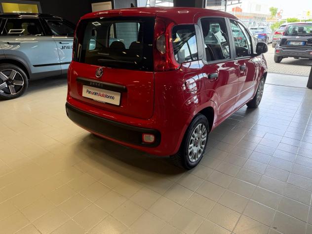 FIAT Panda 3ª serie Panda 1.2 Easy - Foto 7