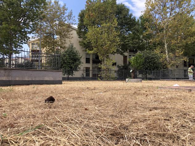 Appartamento in Via Raffaele Schiavone - Foto 19