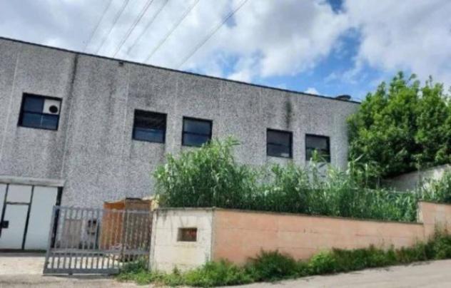 Immobile in asta di 1780 m² in vendita a Cepagatti - Foto 2