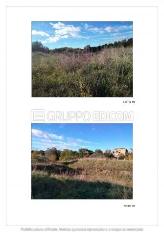 Terreno di 13507 mq in vendita a Bracciano - Rif. 4556556 - Foto 7