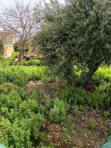 Terreno Edificabile in vendita a Siracusa, Plemmirio - Foto 12