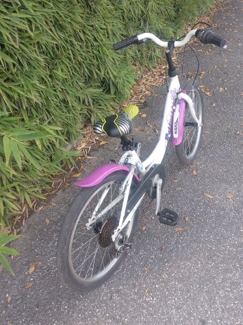 Bici Bimba Bottecchia ruota 20 - Foto 7