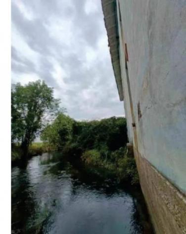 Immobile in asta di 1530 m² in vendita a San Biagio di Callalta - Foto 6