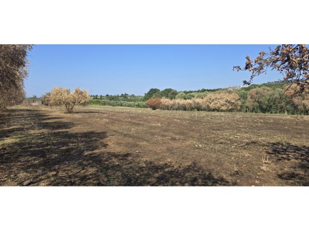 Agricolo in Via Cinelli - Foto 6