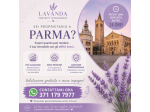 Proprietari di case e immobili cerco