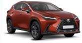 PORTA ANTERIORE DX LEXUS NX 2022
