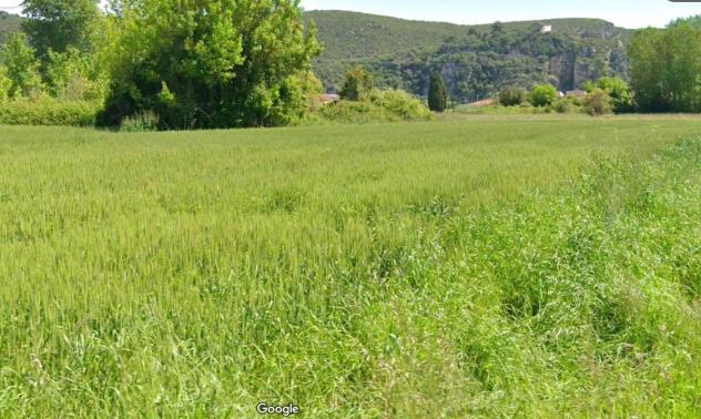 Terreno agricolo in vendita a Migliarino - Vecchiano 3830 mq  Rif: 1333926