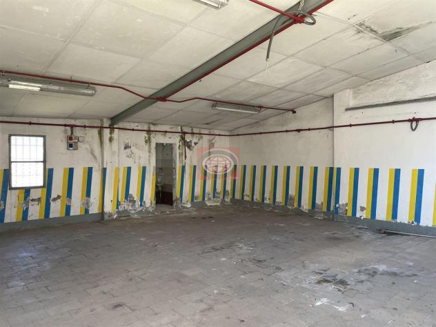 FORLI' ( zona stazione ): su LOTTO di 1.415 mq. CASA SINGOLA con LABORATORIO e TERRENO EDIFICABILE - Foto 7