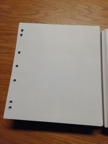 100 intercalari (divisori) per album "numis" LEUCHTTURM - Foto 3