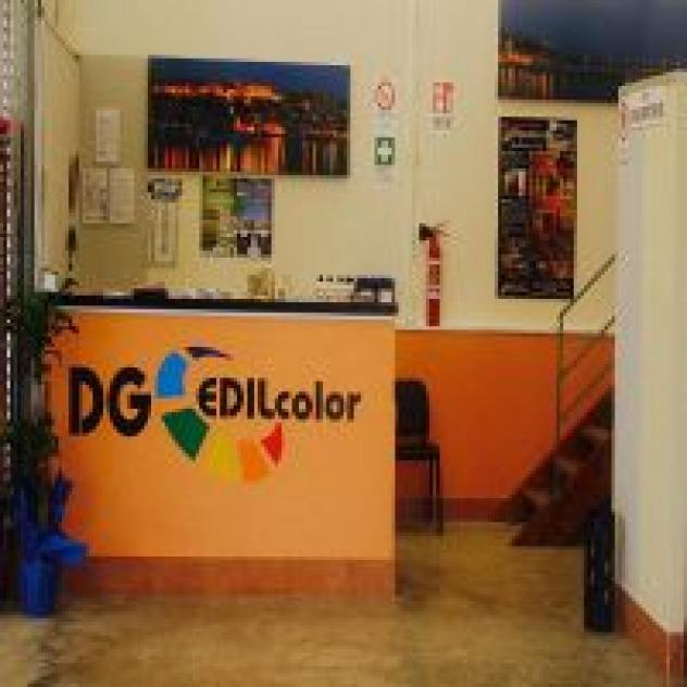 Dg Edilcolor - Foto 2