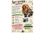Pet Sitter, Cat Sitter, Dog Sitter Taranto
