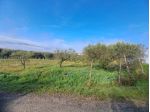Agricolo in via pennino