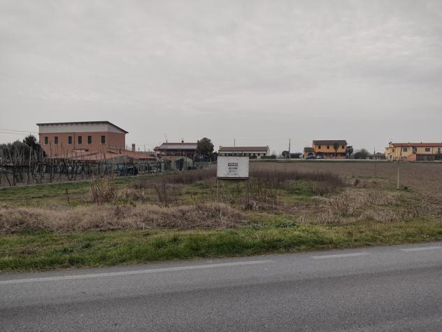 Terreno Residenziale - Cavarzere . Rif.: C0486VRG