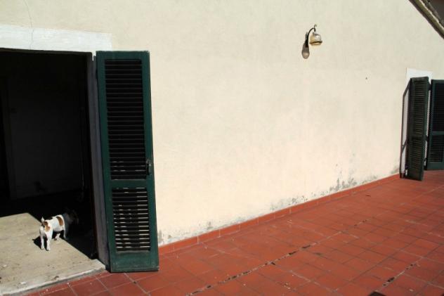 Baschi - vendesi proprietà indipendente da ristrutturare con grande terrazza garage e cantina - Foto 2