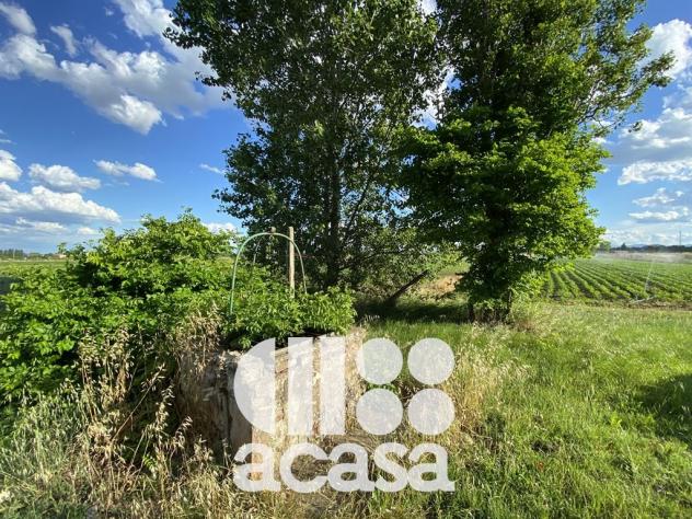 Lotto di terreno agricolo - Foto 4