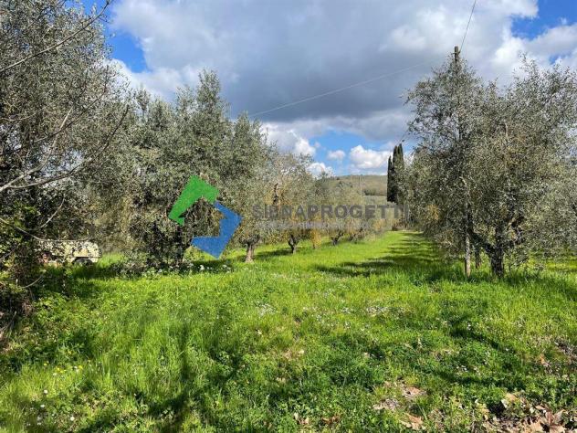 Antica colonica con azienda agricola a Castellina in Chianti, Siena. - Foto 15