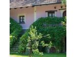 Albergo  Gelsomino
