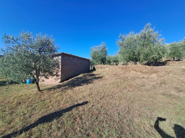 Valdambra - Annesso in Muratura con Terreno e Uliveto - Rif. C10 - Foto 8