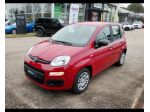 FIAT Pandina 1.0 FireFly 65cv S&S 6m Hybrid Icon