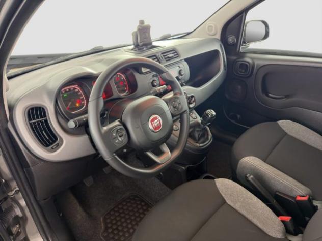 FIAT Panda Panda 1.0 FireFly Hybrid City Life rif. 24062304 - Foto 9
