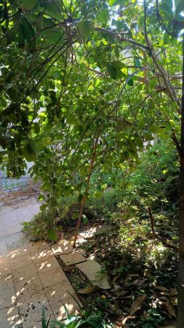 Appartamento in vendita a Castrignano de' Greci - Foto 8