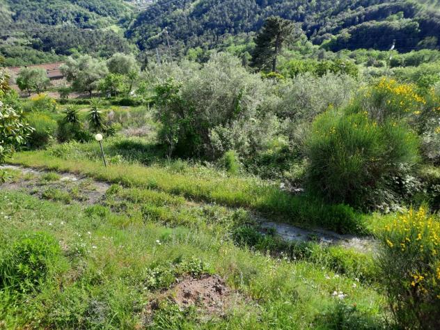 Villa in vendita a Sarzana - Foto 13