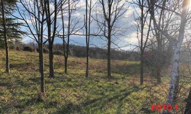 Immobile in asta di 2 m² in vendita a Gazzola - Foto 4