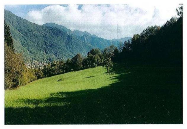 Immobile in asta di 65 m² in vendita a Primaluna - Foto 6