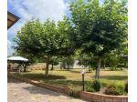 Villa in vendita a Porcari 150 mq  Rif: 1386676