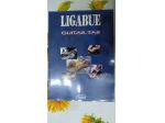 piccola raccolta di canzoni - LIGABUE