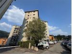 A000052 - Bilocale in locazione Lipomo con autorimessa