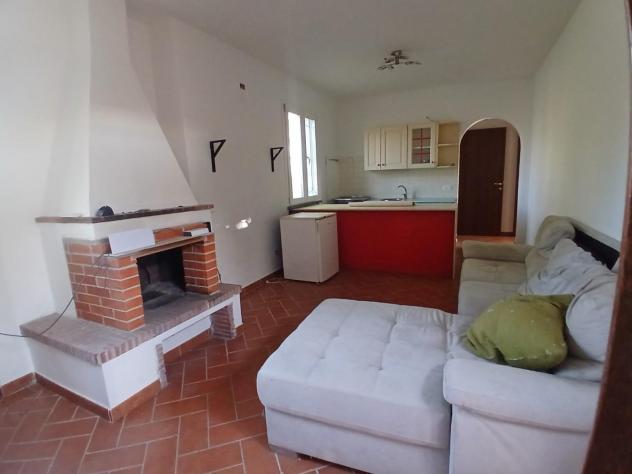 Villetta a schiera in affitto a Coltano - Pisa 80 mq Rif: 1361592 - Foto 5