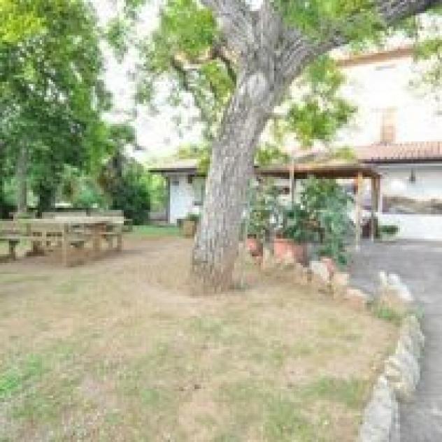 Trattoria dal Checo - Foto 2