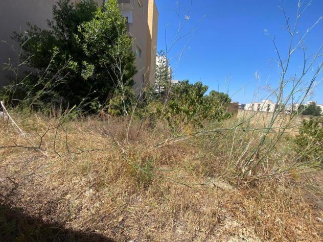 Terreno edificabile in vendita a Gallipoli - Foto 5