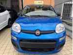 FIAT Panda 1.0 FireFly S&S Hybrid rif. 22367553