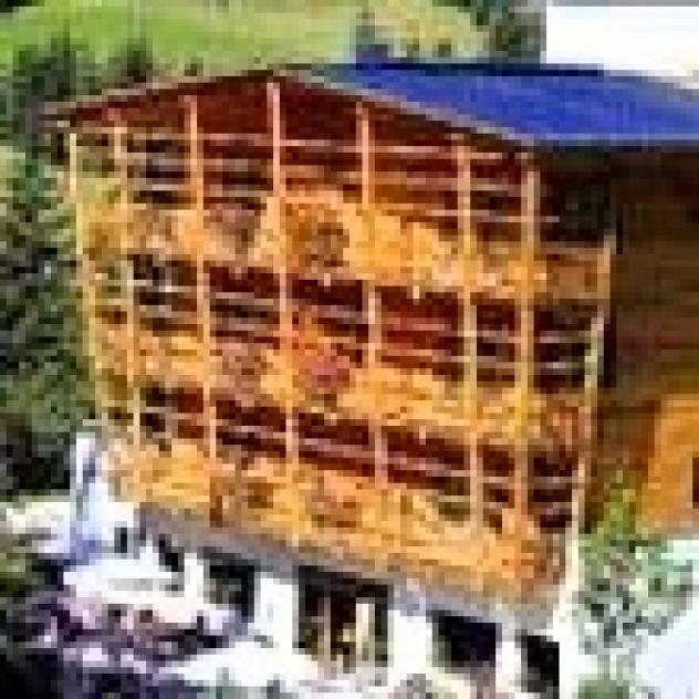 Melodia del Bosco S.a.s. di Irsara Klaus & Co. - Foto 2