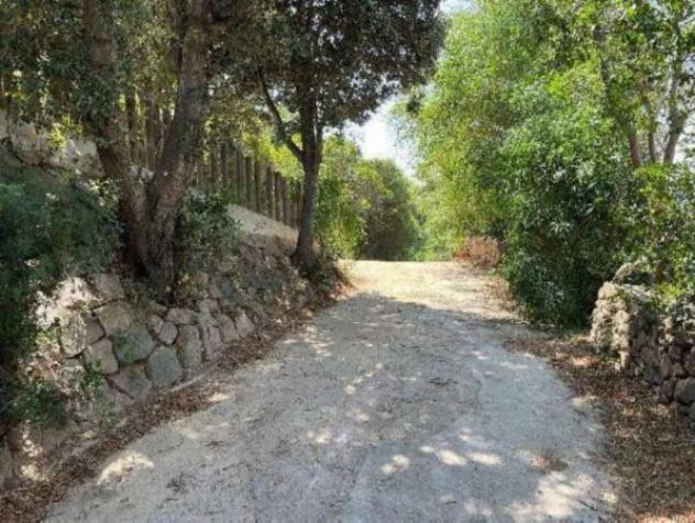 Immobile in asta di 8168 m² in vendita a Arzachena - Foto 12