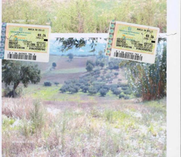 Immobile in asta di 11626 m² in vendita a Roggiano Gravina - Foto 2