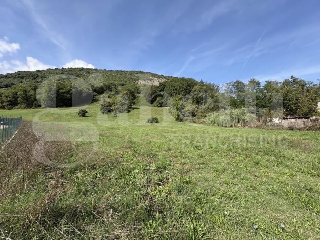 Terreno Agricolo - Segni . Rif.: Cod. rif 3261218VCG - Foto 7