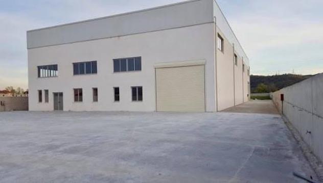 Capannone commerciale in affitto a Carrara 800 mq Rif: 1063490