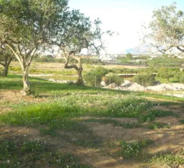 Immobile in asta di 4945 m² in vendita a Marsala - Foto 4