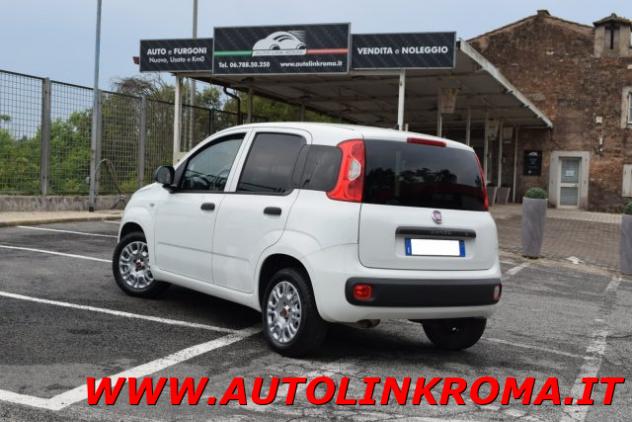 FIAT Panda Van 1.2 Autocarro 2 posti 69CV rif. 23780879 - Foto 3