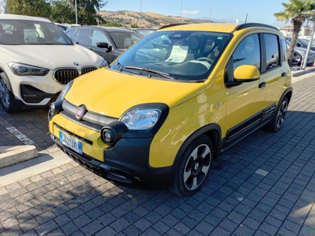 FIAT Panda 3ª serie Panda 1.0 FireFly S&S Hybrid Pandina